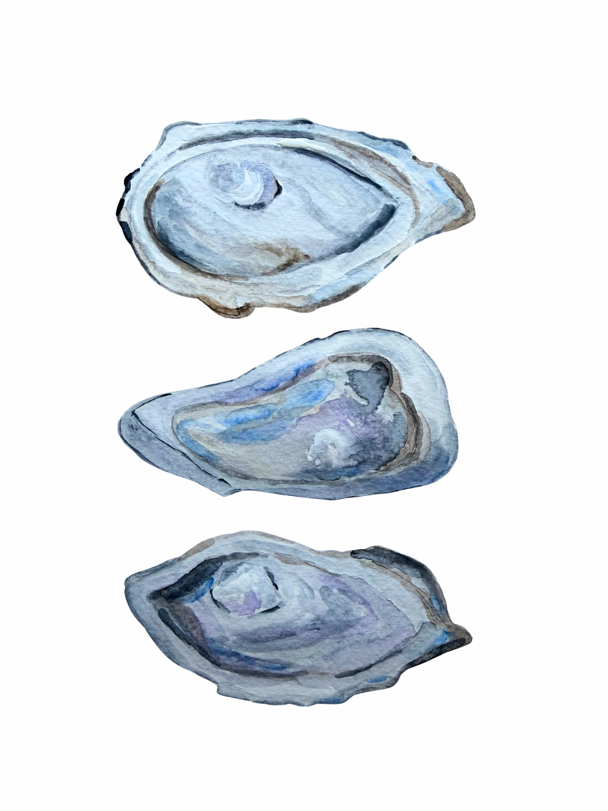 Oyster Collage Print Large