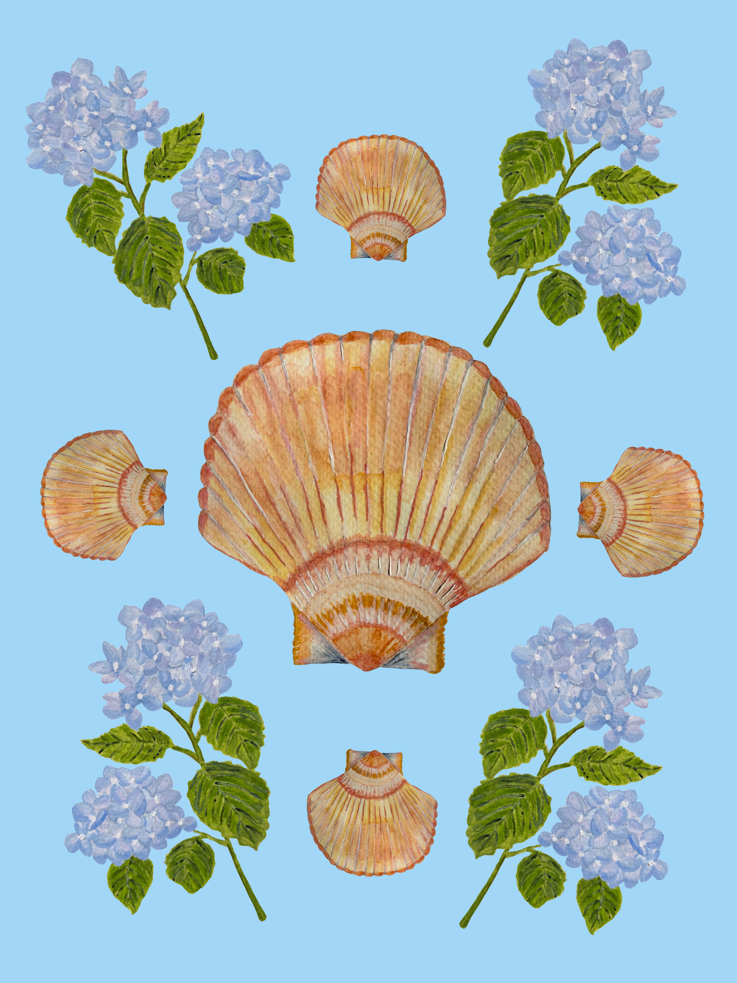 Scallop Shell Hydrangea Print