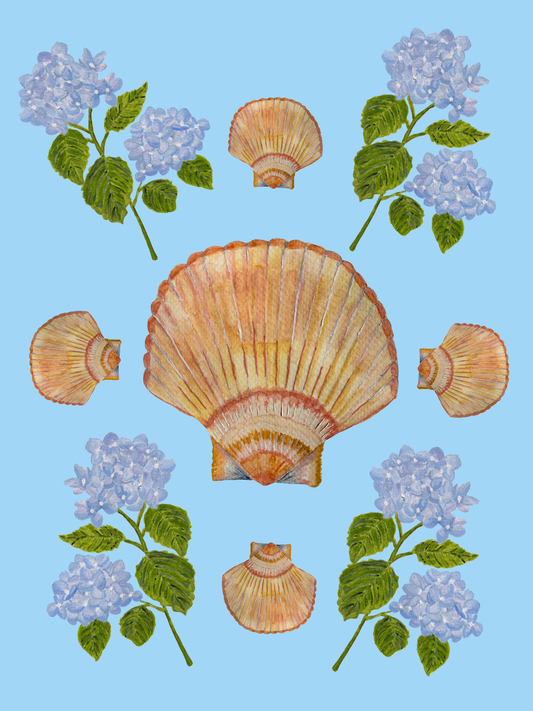 Scallop Shell Hydrangea Print