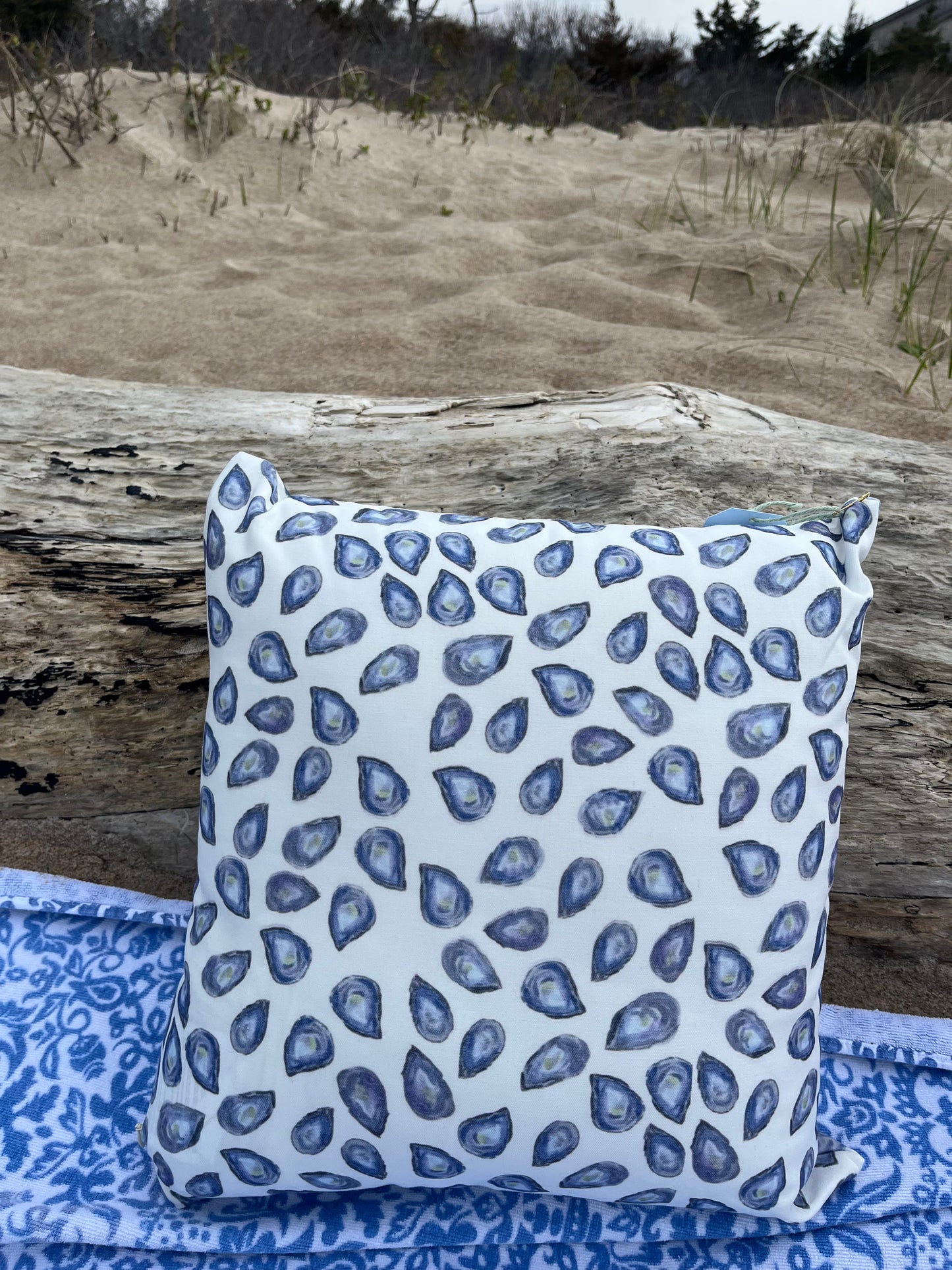 Coastal Dreams Pillow