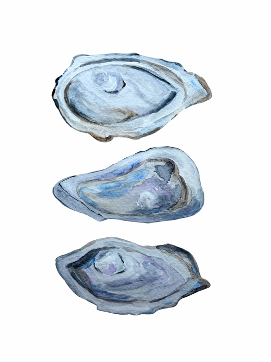 Oyster Collage Print Large